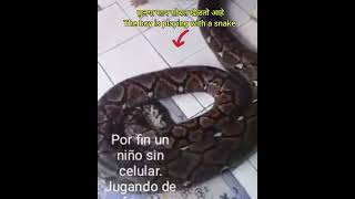 This child is playing with anaconda snake || To watch the latest videos like this.Subscribe now