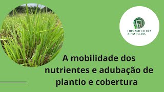 MOBILIDADE DE NUTRIENTES E ADUBAÇÃO DE PLANTO E COBERTURA EM PASTAGENS