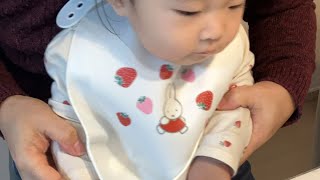 【離乳食朝ライブ】#shorts #赤ちゃん #baby #Baby #嬰兒 #sayang #बच्चा #طفل #아기　#bebê #малыш #bebé #bébé #ที่รัก