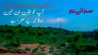 آپ کو یقین ہی نہیں ہوگا کہ یے صحرا ہے ||صحرائے تھر ||You will not believe that it is a desert