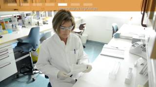How to use Dynabeads® for immunoprecipitation