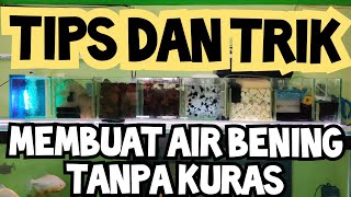 CARA AGAR AQUARIUM SELALU BERASIH