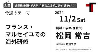 【音声】やしの実FM 天伯之城ギカダイ 2024/11/2【ラジオ】