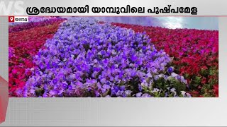 കാഴ്ചയുടെ വസന്തമൊരുക്കി സൗദിയിൽ പുഷ്പമേള; എത്തുന്നത് നിരവധി സന്ദർശകർ