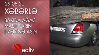 Bakıda ağac maşınların üzərinə aşdı