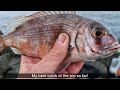 fishing in fuerteventura couches bream lizardfish and more in caleta de fuste