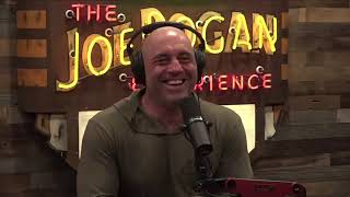 Rogan and Huberman on Liver King and Ab Implants | JRE