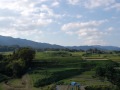 写真動画・里山 photomovie satoyama mano oogi ～湖西地方の里山の風景