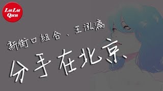 新街口組合《分手在北京》feat.王泓漓 - 你給過我幸福，現在想想卻模糊【抖音熱門 - 動態歌詞版】