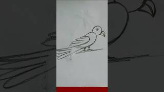 Amazing Bird easy draw🥰#shorts#music