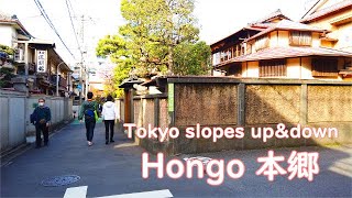 [4K] Tokyo slope up\u0026down - Hongo  東京坂道散歩 本郷