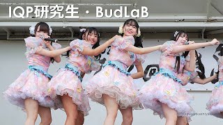 IQP研究生・BudLaB　「第12回糸島市民まつり」 オープニングアクト  2024/10/6