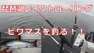 レイクトローリングでビワマスを釣る！！