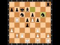 Mihail Tal-Mikhail Botvinnik, 1961 World Championship 24th, Result: 1-0