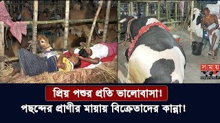 প্রিয় পশুর প্রতি ভালোবাসা! | পছন্দের প্রাণীর মায়ায় বিক্রেতাদের কান্না! | Cow Lover | Somoy TV