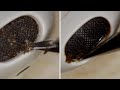 AirPod Deep Clean | How to cleaning rusty airpod