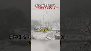 1月4日，河南许昌。禹州医护连夜爬雪坡入户为老人采样：山区路难走，老人腿脚不便