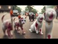 Zombie Takeover! Will the Cat Get Infected? Watch until the end! #cat #ai #catlovers  #story  #viral