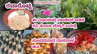 /Rava rotti(ರವಾರೊಟ್ಟಿ) recipe)ಕಾಯಿ ಚಟ್ನಿ/ಬೀಜದ ಅಡಿಕೆನ ಯಾವರೀತಿ ಸಸಿ ಮಾಡೊದಿಕ್ಕೆ ಹಾಕ್ತೀವಿ/ಹೂವಿನಗಿಡಗಳಆರೈಕೆ