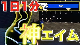 １００点取れたら対空・追いエイム技術が爆上がり！エイムが良くなる方法を紹介！【フォートナイト】【ネフライト】【エイム練習】【初心者必見】【WOODS】