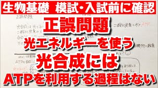 【共通テスト2021第1問 問3解説あり】正誤問題　光合成とATP　生物基礎