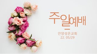 안양성은교회 220529 주일예배입니다.