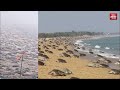 odisha beach sees record mass nesting of 6.41 lakh olive ridley sea turtles