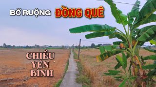 Chiều Yên Bình Ở Bờ Ruộng Quê | Nét Đẹp Mùa Khô Ở Giữa Đồng.