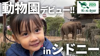 予想外の出来事が連発⁉2歳娘がシドニーで初めての動物園へ行ってみた！【TARONGA ZOO】