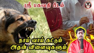 நாய் வாய் கட்டு செய்வினை | Naai Vai Katta | Sri Bagavathy Peedam | Bagavathy Amman