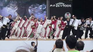 原宿スーパーよさこい早稲田大学東京花火原宿口ステージ演舞