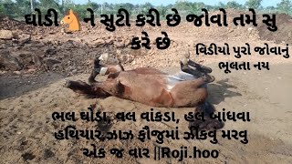 ભલ ઘોડા, વલ વાંકડા, હલ બાંધવા હથિયાર,ઝાઝ ફૌજુમાં ઝીંકવું મરવુ એક જ વાર ||Roji.hoo