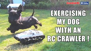 EXERCISING MY CRAZY DOG...WITH AN RC CRAWLER ! ESSENTIAL RC DRIVE TEST