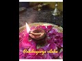 panchagavya diya