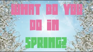 What do you do in spring?