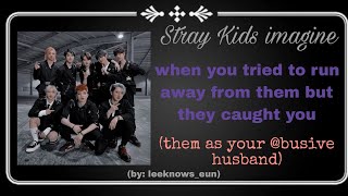 #straykids #imagine : when you tried to run away from them but they caught you #skz #ff