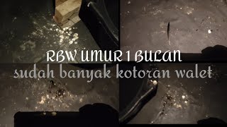 RBW on 1 bulan sudah banyak titik kotoran walet. gedung baru