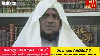 மலக்குகள் யார்? மௌலானா ஹபீப் முஹம்மது நத்வி #angels of. allah #vellimedai #jumma bayan #tamil islam