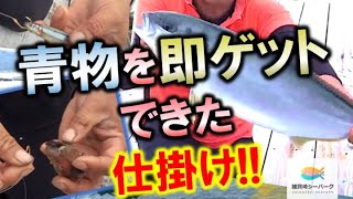 釣堀スタッフが教える青物が釣れる４つのポイント！