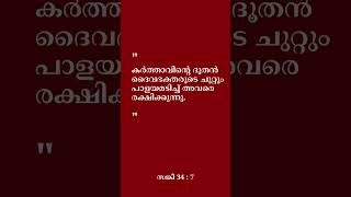 Verse of the Day | ഇന്നത്തെ വചനം