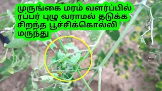 முருங்கையில் வரும் ரப்பர் புழுக்கு சிறந்த மருந்து || murungai vivasayam / drumstick tree cultivation