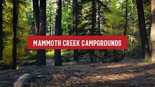 Mammoth Creek Campgrounds - Mammoth Creek, UT