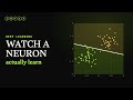 Watch a Single Neuron Learn (from scratch in numpy)