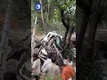 ഉള്ളുലഞ്ഞ് നാട് palakkad accident news kerala