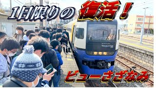 【1日限りの復活運転‼︎】堺正幸氏の生自動放送もあり‼︎特急ビューさざなみ号東京発館山行きに乗ってきた‼︎