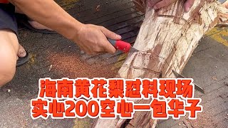 海南黄花梨怼料现场，切出实心的得200元，空心的亏一包华子