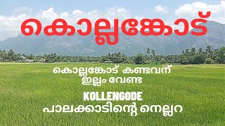 കൊല്ലങ്കോട് |അഡാർ ടൂറിസ്റ് സെൻറർ|  പാലക്കാടിന്റെ നെല്ലറ #kollengode #palakkad #villagelife #village