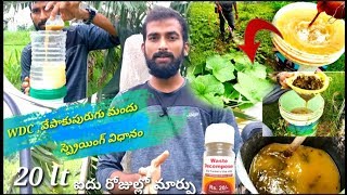 Waste Decomposer, వేపాకుపురుగు మందు స్ప్రెయింగ్ విధానం ఐదురోజుల్లో గమనించిన మార్పులు||multi wisdom