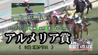 2023/03/05【パドック返し馬つき】阪神8R　アルメリア賞（３歳1勝クラス）　　☆ドットクルー　ディーマジェスティ　＃レースは8分ころから