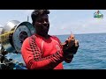 வலையில் வந்த அதிசய மீன் fisherman fishing viral trending video